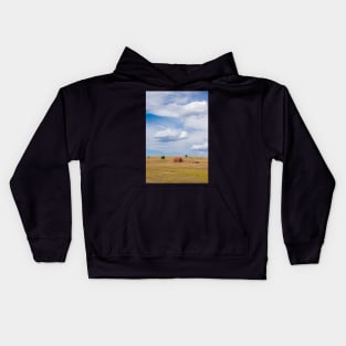 Little red barn. Kids Hoodie